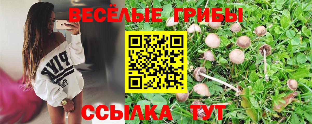 Псилоцибиновые грибы мухоморы Ревда