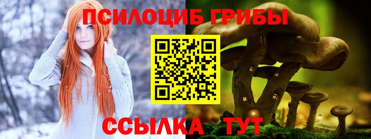 Псилоцибиновые грибы мицелий  Вход с VPN  наркота  Псилоцибиновые грибы Psilocybine cubensis  Ревда 
